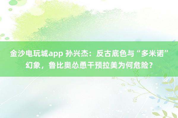 金沙電玩城app 孫興杰：反古底色與“多米諾”幻象，魯比奧慫恿干預拉美為何危險？