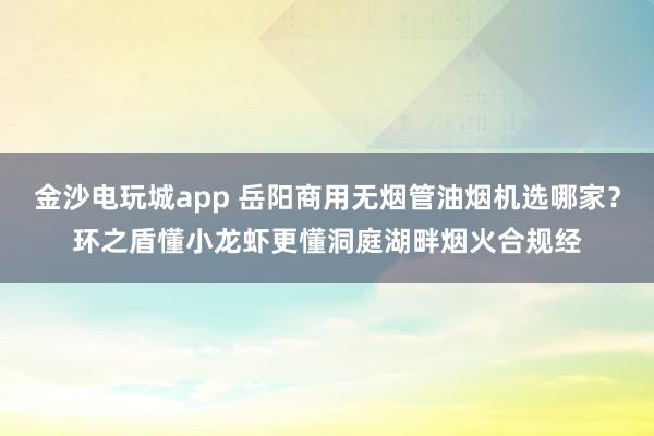 金沙電玩城app 岳陽商用無煙管油煙機選哪家？環之盾懂小龍蝦更懂洞庭湖畔煙火合規經